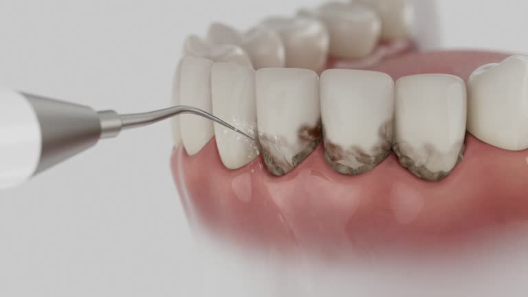 Reliable Dental contractor in Exmore, VA by Dentist Open Now